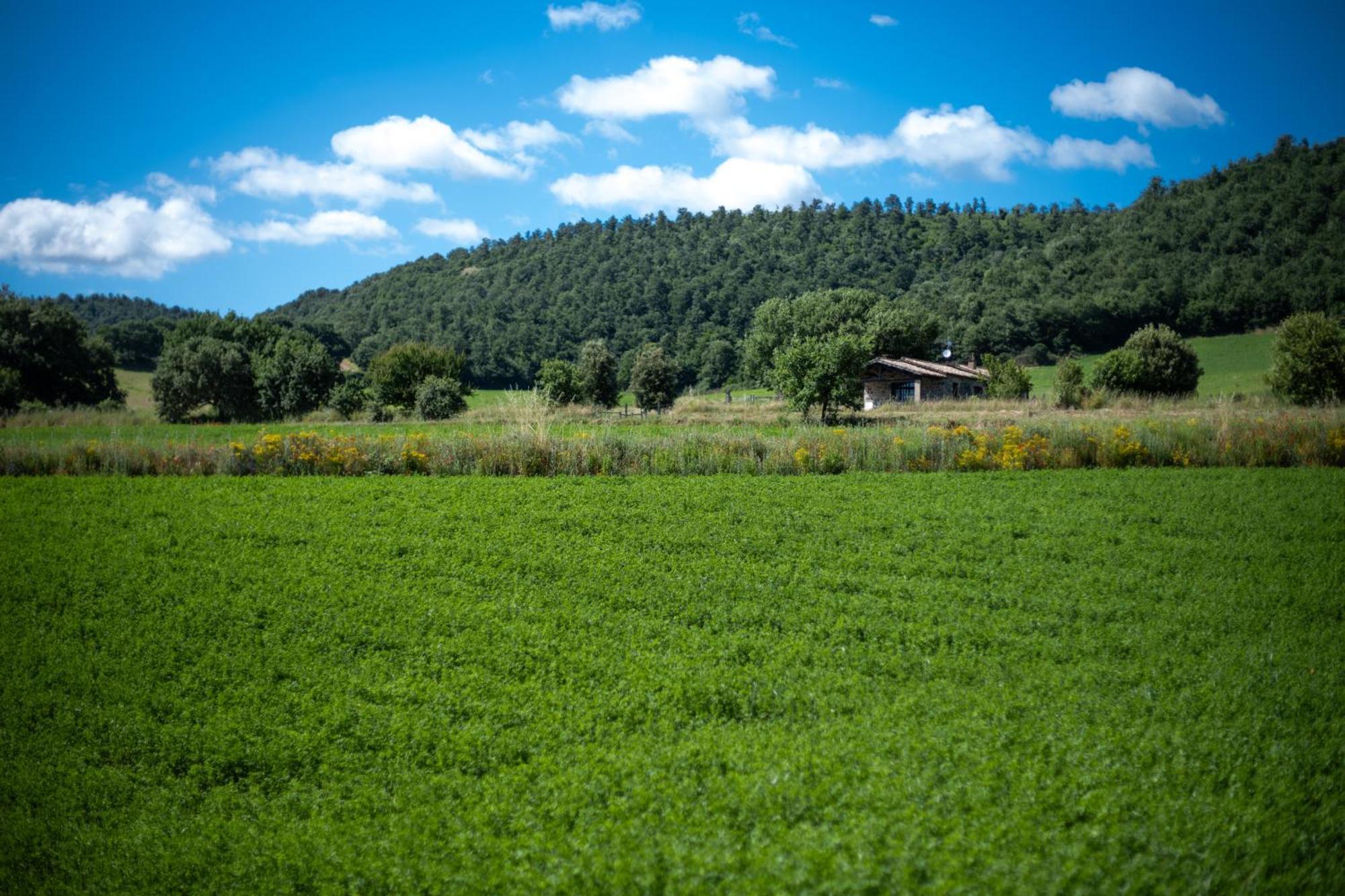 Agri Relais Il Poderaccio Di Bolsena Exterior photo
