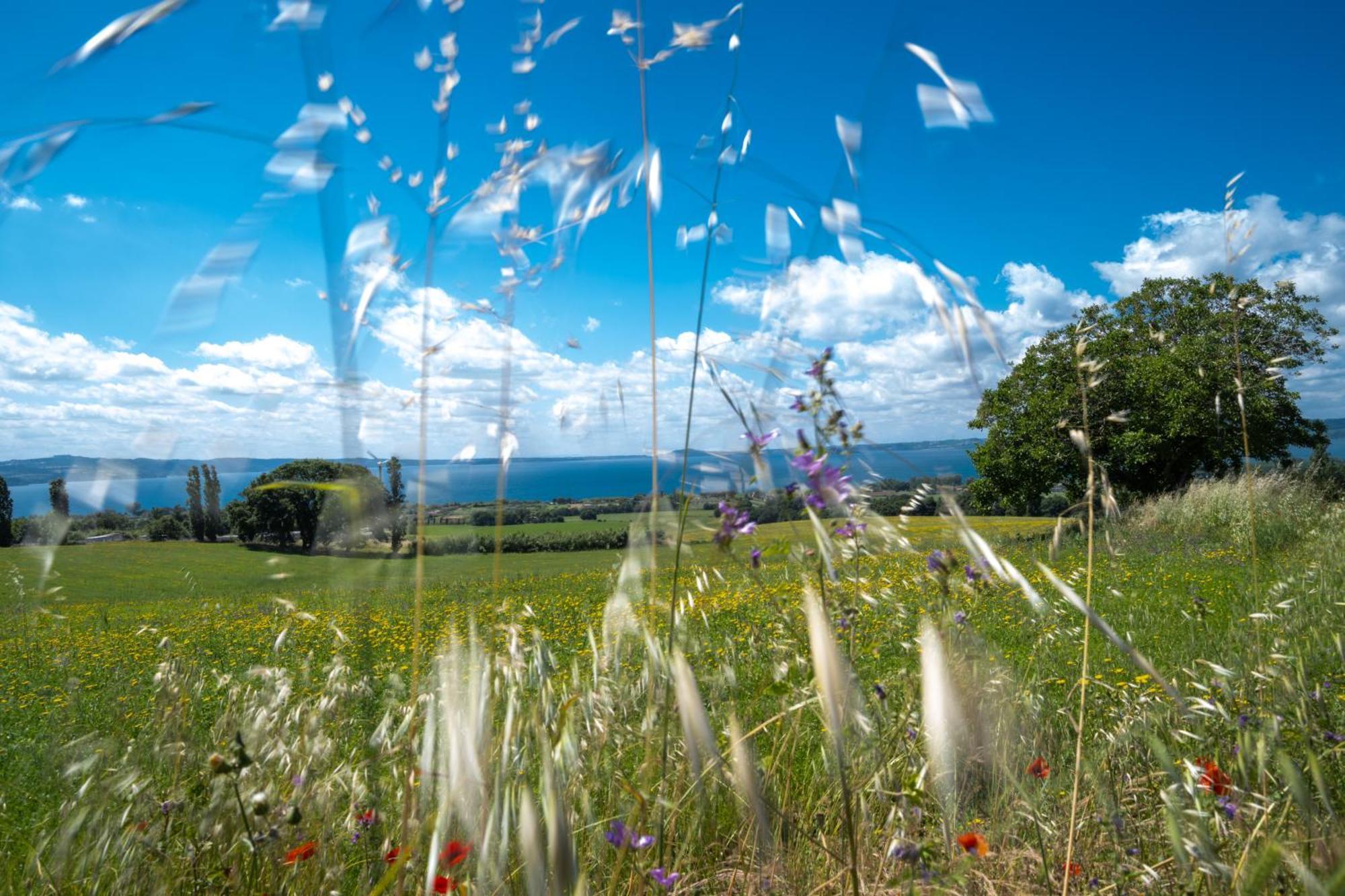Agri Relais Il Poderaccio Di Bolsena Exterior photo