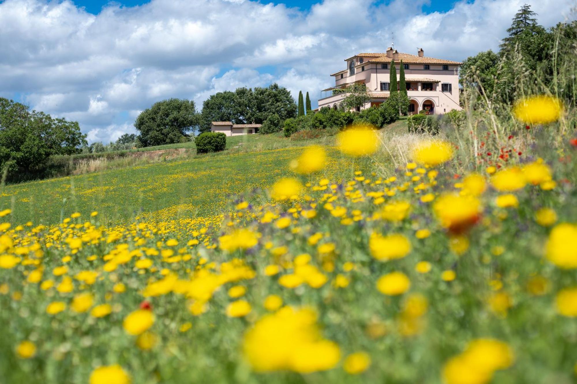 Agri Relais Il Poderaccio Di Bolsena Exterior photo